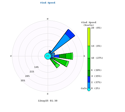 obs.label.windSpeed