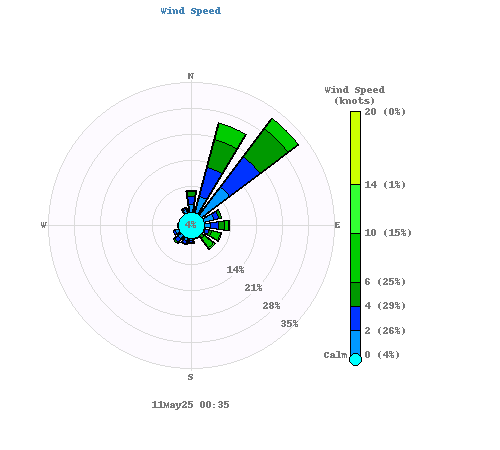 obs.label.windSpeed